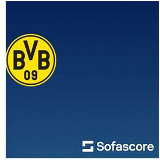 Borussia vs Wolfsburg Standings